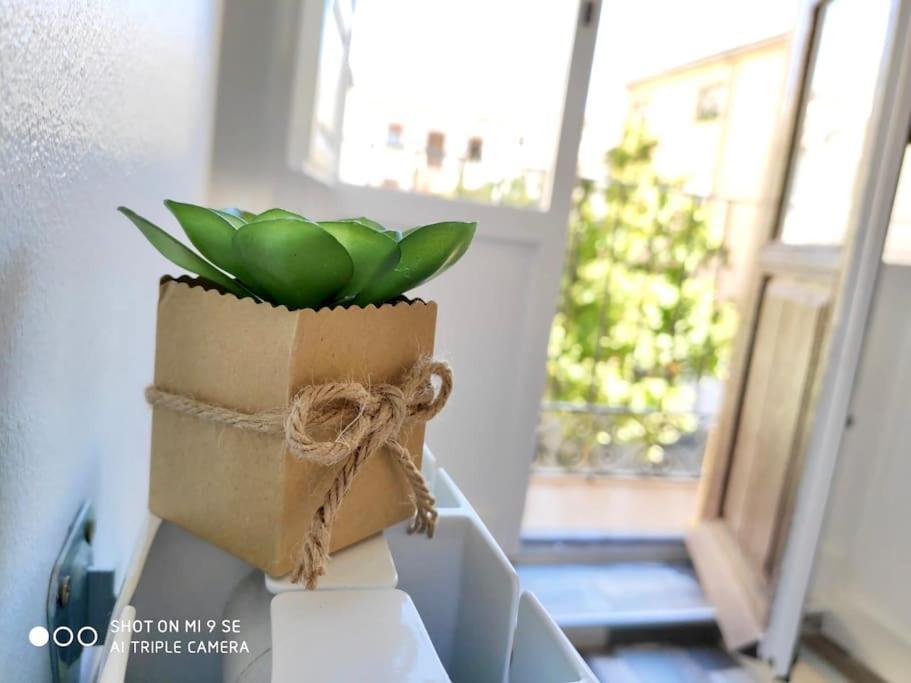 Varela Centro Granada Center公寓 外观 照片
